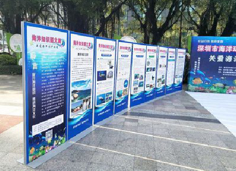 浮梁KT板的种类和知识。